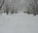 Informazioni Settore Viabilità sulla condizione Neve